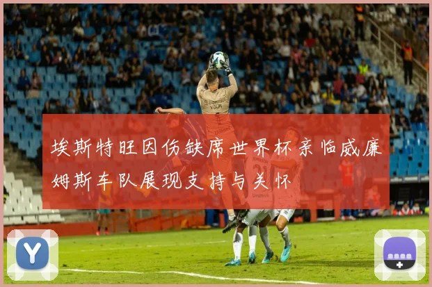 埃斯特旺因伤缺席世界杯亲临威廉姆斯车队展现支持与关怀
